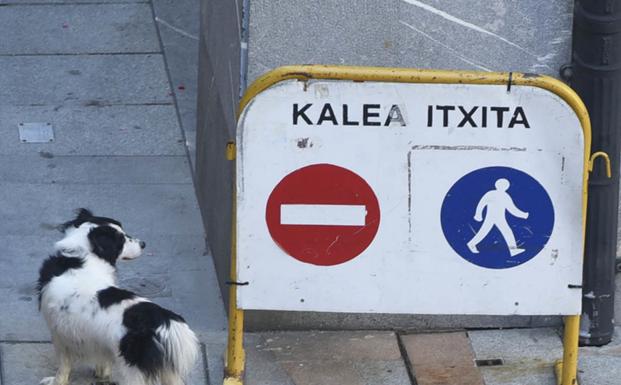 Tolosa pone el foco en la convivencia entre ciudadanía y responsables de perros