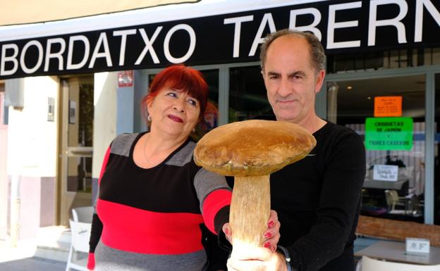 Un hongo de kilo y medio: «Tiene una txapela como la boina de un casero»