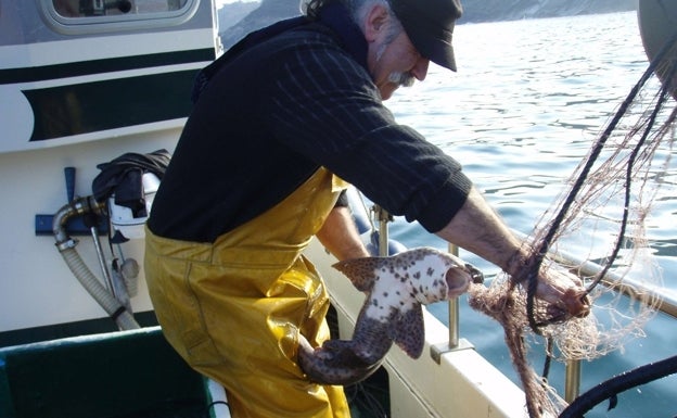 Jokin Gilisagasti: «La pesca de cerco y de artes menores son mundos completamente distintos»