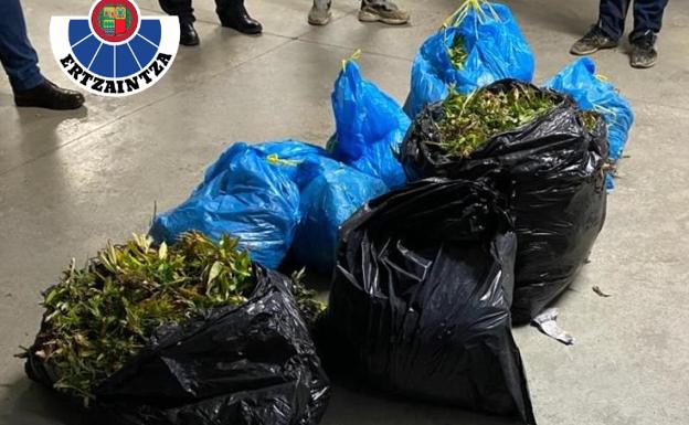 Sorprendidos en Arama cuando transportaban diez bolsas de basura llenas de marihuana en su coche