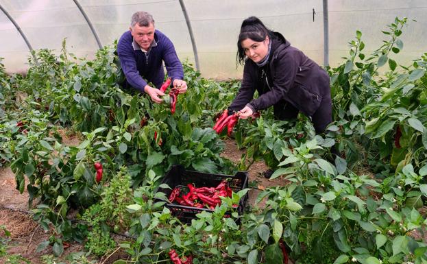 El valor del producto 'Km.0' cala en la ciudadanía