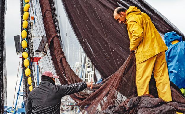 Demuestra tus conocimientos de Pesca de Bajura y gana un bono de 100€ para consumirlo en pescaderías de BM Supermercados