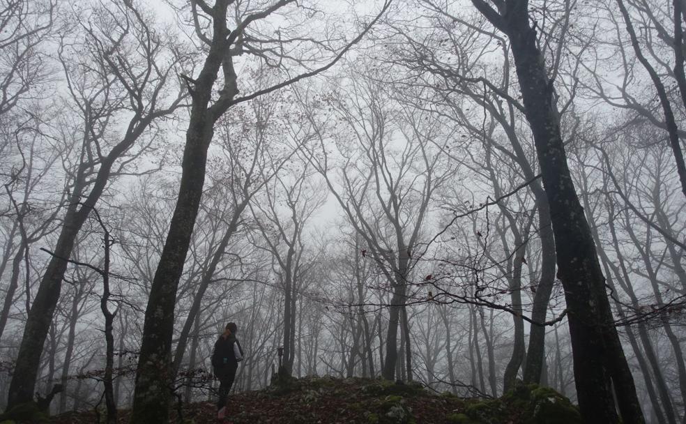 Larrazpil, señor de la niebla de Aralar