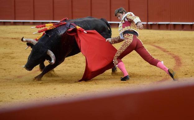 Presencia audiovisual