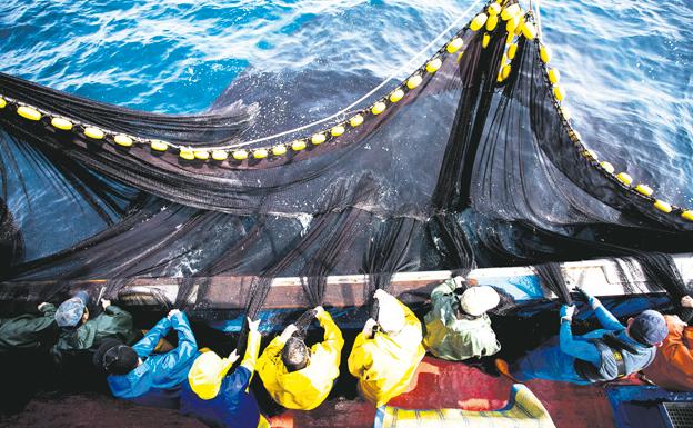 Tradición, innovación y sostenibilidad