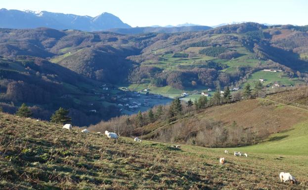 Ipuliño, con la vista perdida en el cielo