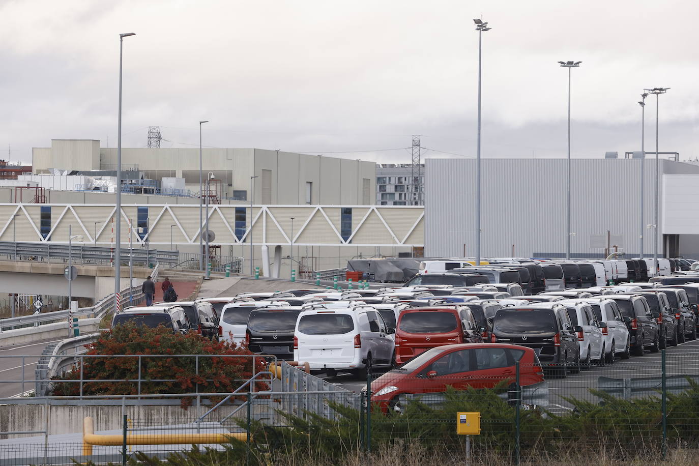 Mercedes Vitoria no retomará su actividad hasta el 3 de enero