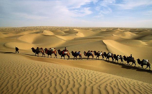 La llamada del desierto