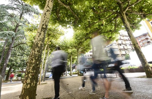 Tolosatzen Escuela Abierta acoge nuevas actividades para la ciudadanía