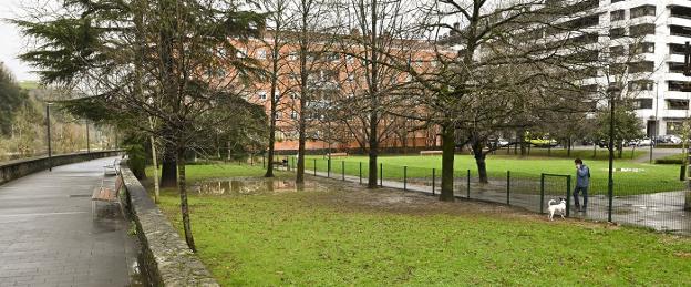 'Perro Ejemplar', un programa para mejorar la convivencia