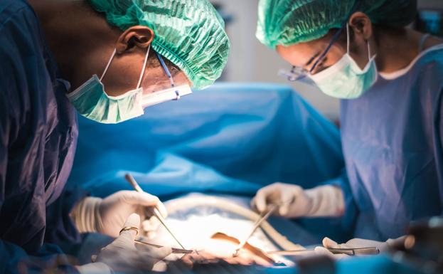 Euskadi resiste en número de donaciones de órganos a pesar del Covid