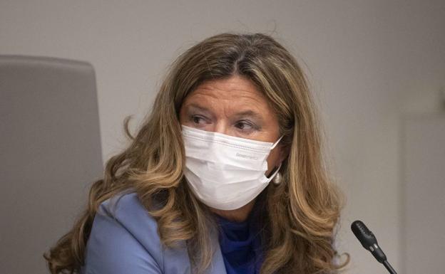 Sagardui informa sobre la última hora de la pandemia