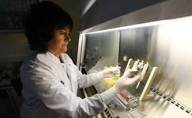 «El certificado covid es una medida más, y cuantas más haya, el riesgo será menor»