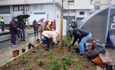 Plantación popular en Loiola