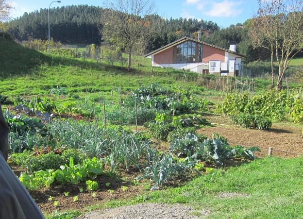 El sorteo de las huertas ecológicas de Altamira se realizará este martes