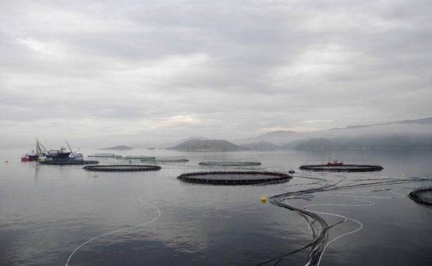 Piscifactoría en aguas noruegas.
