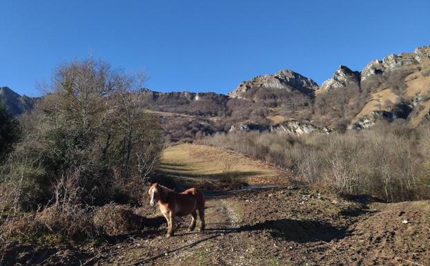 Hirumugarrieta, dura subida con premio