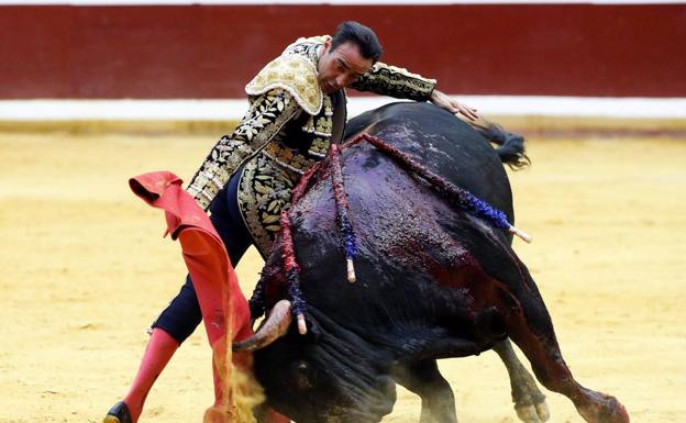 Los toros volverán este verano a la plaza de Illunbe