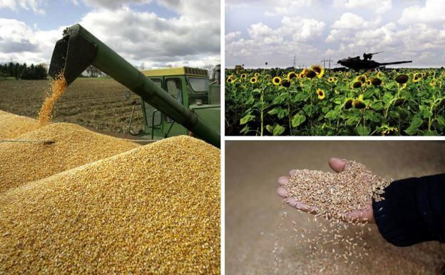 Estos son los alimentos que van a subir de precio más rápido: del pan a la carne, la cerveza, los aperitivos o las conservas