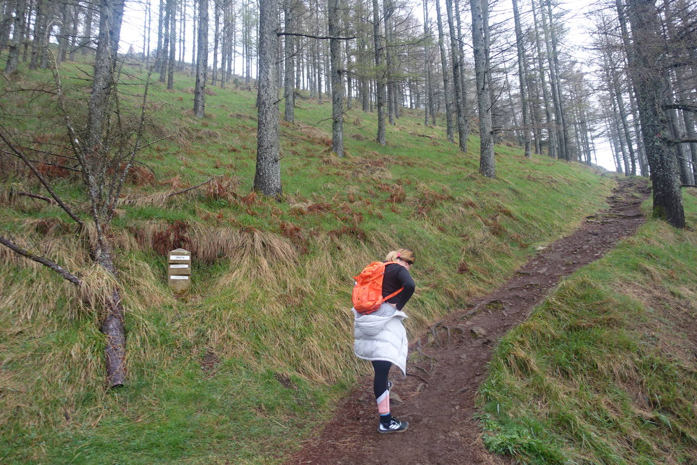 Irimo, silencioso guardián del Urola