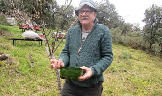 La avispa que amarga a los apicultores