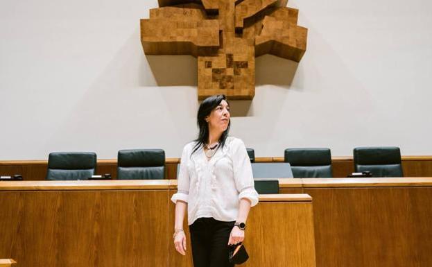 El Parlamento Vasco acata la sentencia del TC y anula el 'cordón sanitario' a Vox