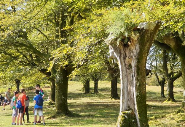 Oieleku inguruan txangoa antolatu da datorren igandean 10:00etan