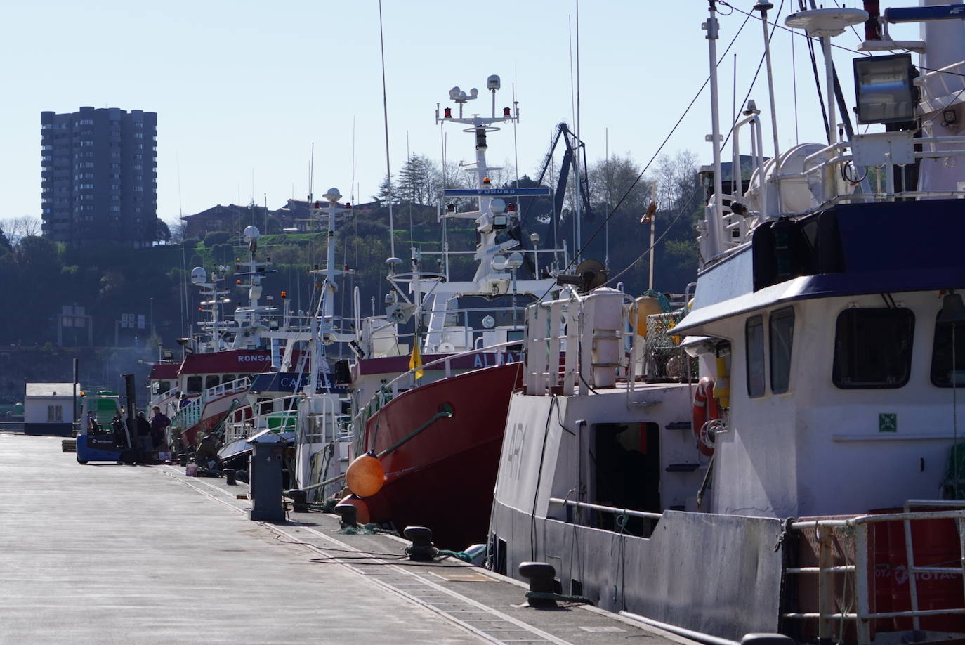 La flota de bajura volverá a la mar el martes para no perder la costera del verdel