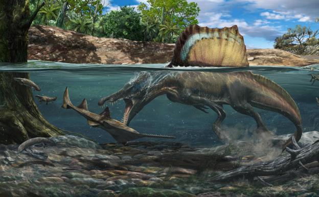 El dinosaurio carnívoro más grande podía cazar bajo el agua