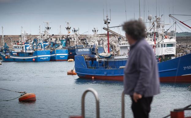 Privilegiados en tener abastecidas las pescaderías de especies diversas