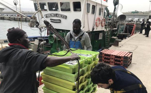 La flota de cerco vuelve a la mar y realiza las primeras descargas de verdel y anchoa
