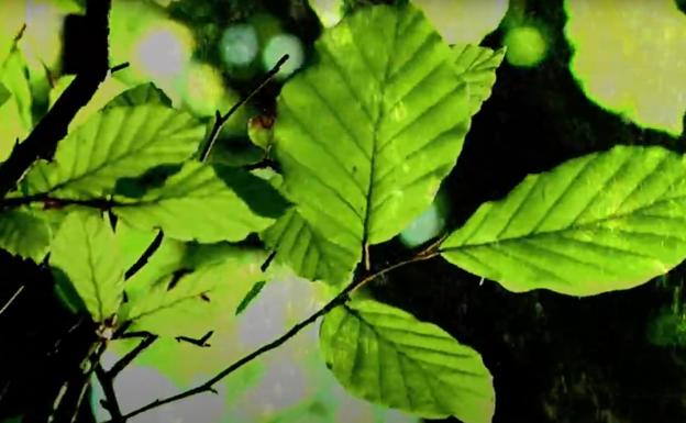 'Pozgarria da', Gandiagaren lau poemaren berrikuspen musikal berritzailea