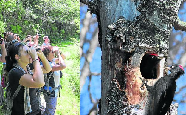 Arditurri parketxea planez betea dator Aste Santuan
