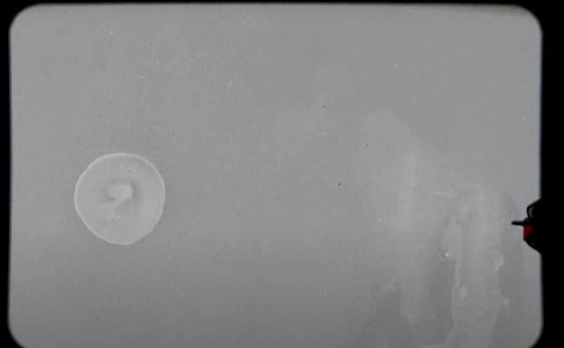 Gose bertsio soil eta intimoagoan