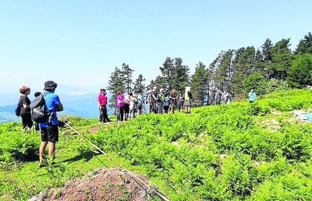 Una salida de 4 horas por la ruta de los dólmenes