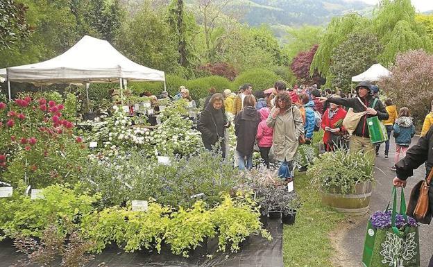 Iturraran recuperará este fin de semana su feria de plantas de colección tras dos años ausencia por el Covid