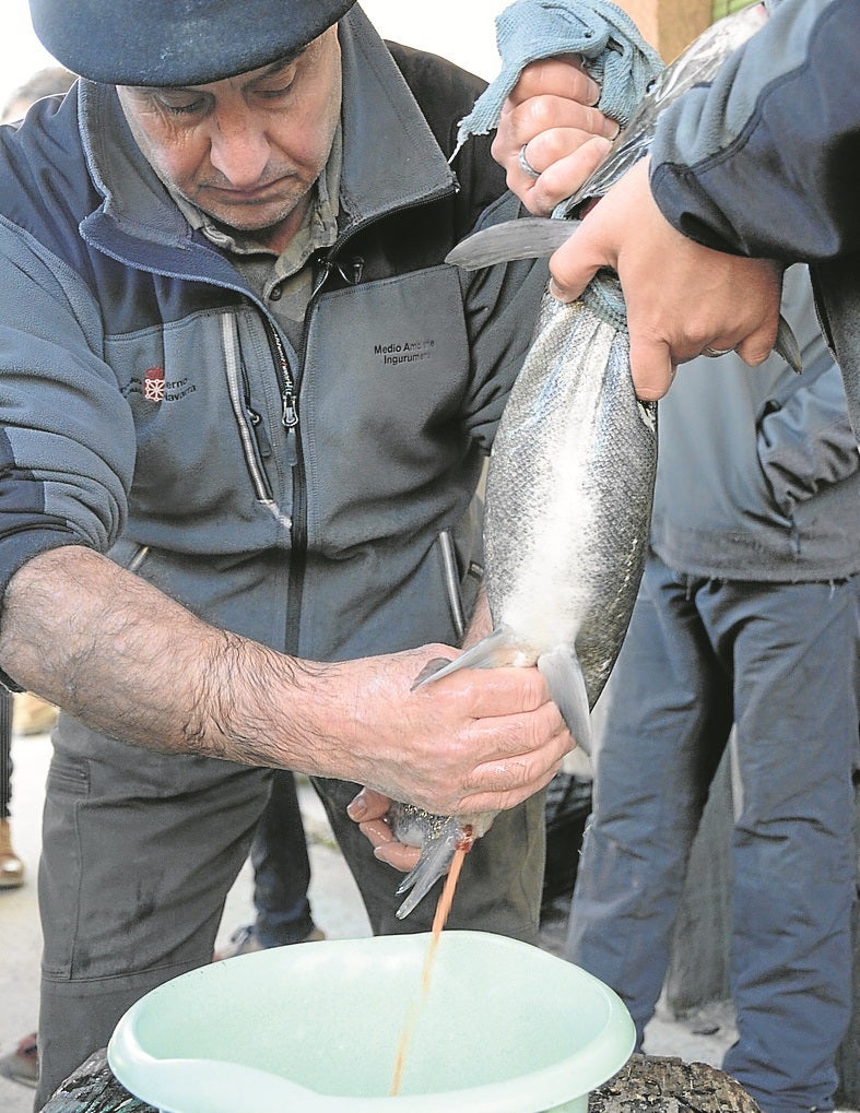 La piscifactoría del Bidasoa