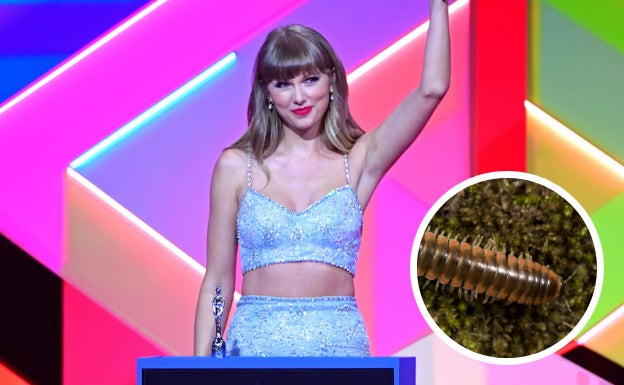 Un milpiés llamado Taylor Swift