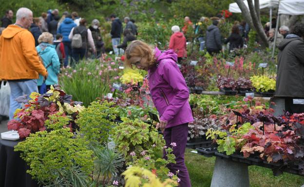 Feria de Plantas de Colección de Iturraran: flores y plantas de todo el mundo, en Aia