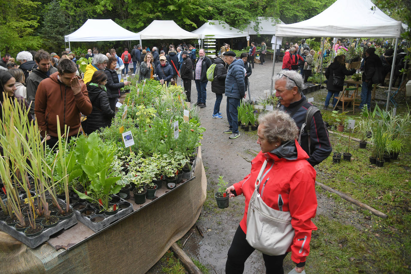 Exitosa feria de plantas de colección en Iturraran