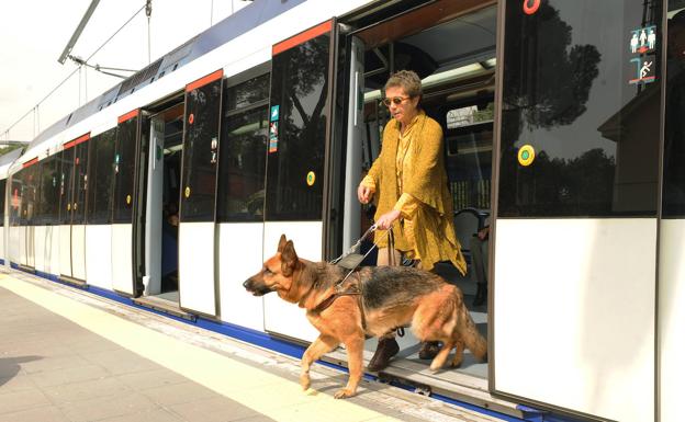 Los perros guía de Gipuzkoa reivindican su derecho a acceder al transporte público