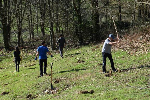 Subvenciones a actividades relacionadas con el medio ambiente