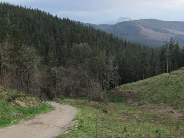 Una charla-coloquio con tres ponentes abordará los ecosistemas y la silvicultura