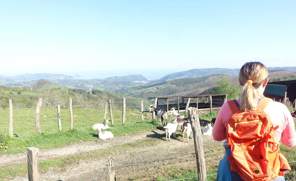Andatza, a pocos kilómetros del mar