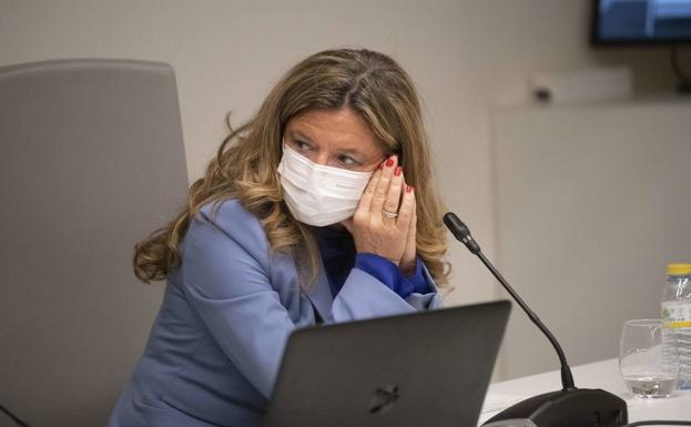 Sagardui considera «lógico» el repunte de incidencia del virus