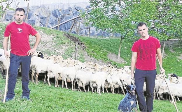 Libres por Aralar pero controladas por app