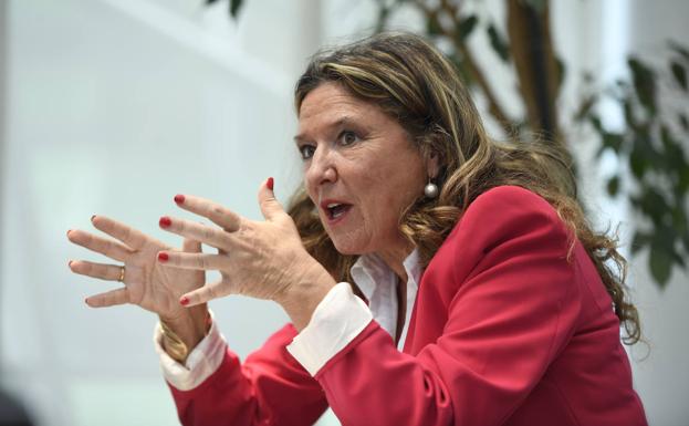 Ampliaciones y nuevos edificios en cinco hospitales de Gipuzkoa