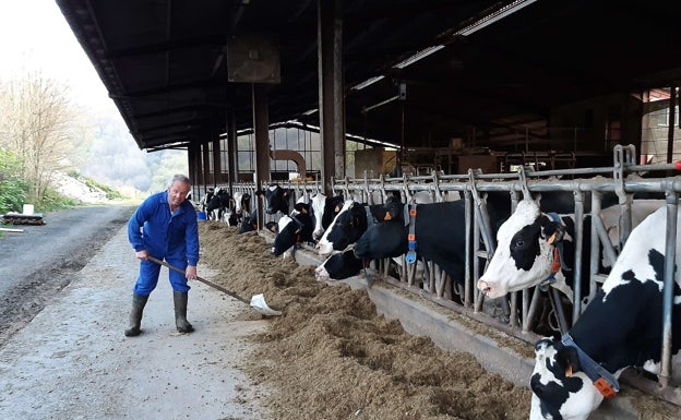 El sector lácteo de Gipuzkoa y Euskadi exige «dar nuevos pasos» para salvar las explotaciones