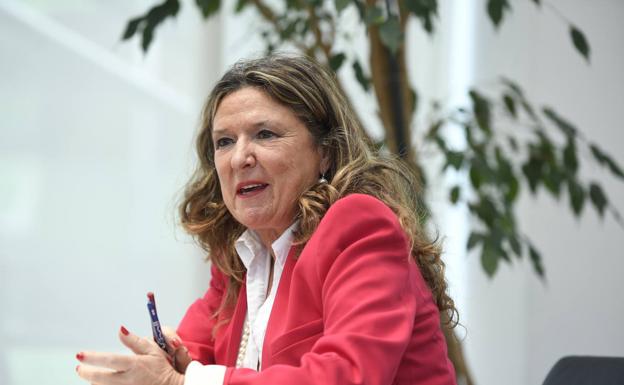 Sagardui asegura que en Euskadi «hay más posibles casos» de viruela del mono