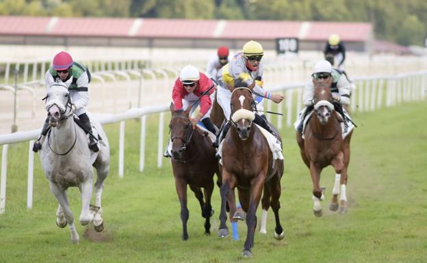 El hipódromo estrena este miércoles la temporada estival